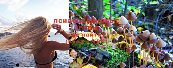 спайс Белокуриха