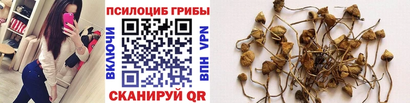 где найти наркотики кракен сайт Галлюциногенные грибы MAGIC MUSHROOMS Гусев