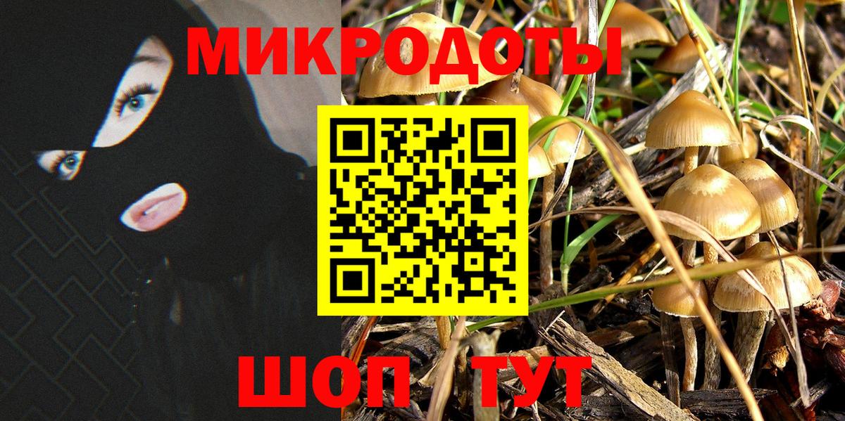 Гусев  Галлюциногенные грибы прущие грибы  Вход с VPN 